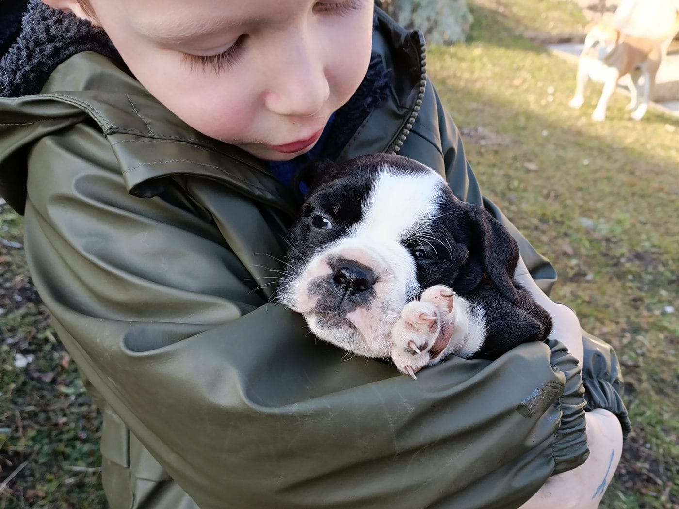 Enfant portant un chiot à l'élevage La Casa de Chula