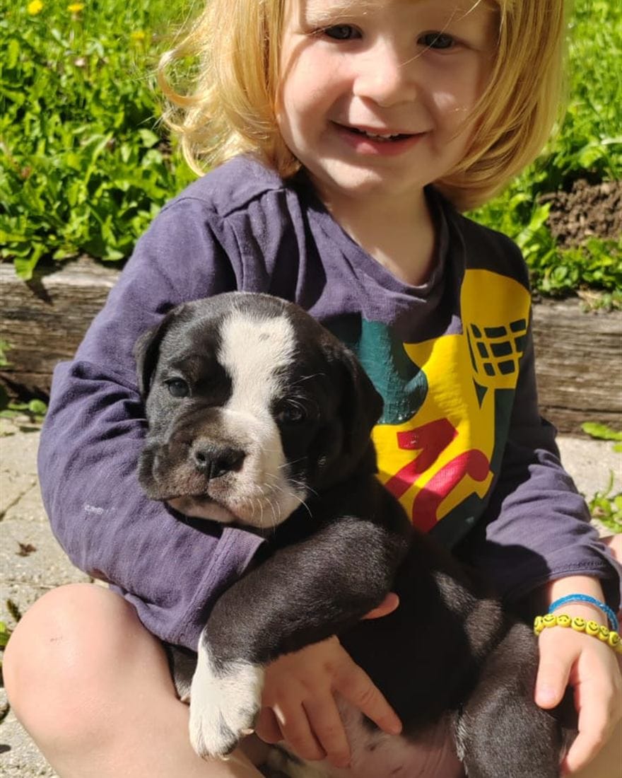 Enfant tenant un chiot à l'élevage La Casa de Chula